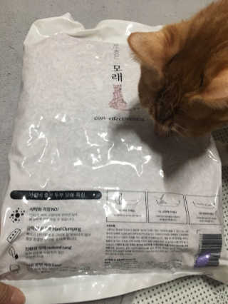 냠콩님이 올린 리뷰 사진 4