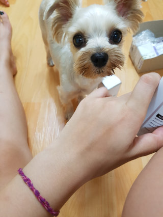 내가엄마다님이 올린 리뷰 사진 2