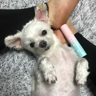 🦄행운의여신유니콩🦄님이 올린 리뷰 사진 1