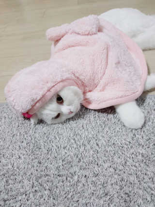 억대연봉님이 올린 리뷰 사진 2