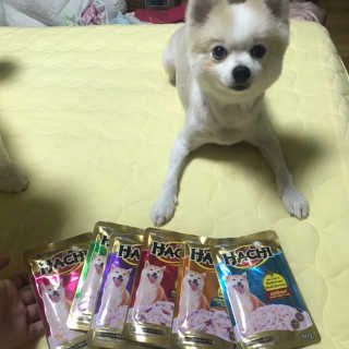 [펫토리아] 토로토로 하치  강아지간식 수프 6종 — 5점을 준 리뷰어가 2019년 9월 올린 사용 사진