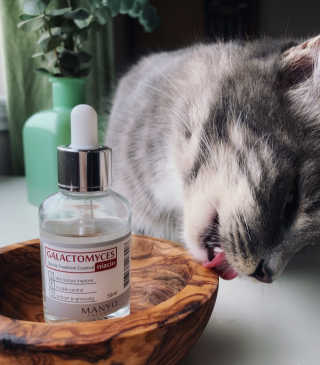 [마녀 공장] 발가락 토미 니아신 에센스 50ml — 4점을 준 리뷰어가 2019년 2월 올린 사용 사진