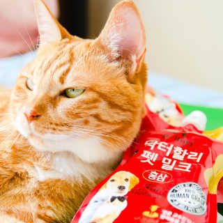 2019yaap님이 올린 리뷰 사진 2
