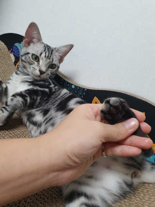 유리맘님이 올린 리뷰 사진 1