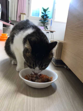 글라라5205님이 올린 리뷰 사진 3