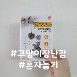 파랑텀블러님이 올린 리뷰 사진 1