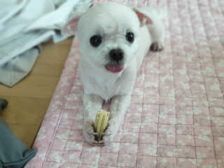 박루씨님이 올린 리뷰 사진 1