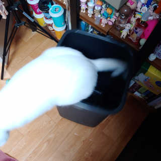 라온시연님이 올린 리뷰 사진 2