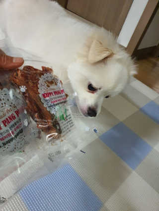 주여니이님이 올린 리뷰 사진 1