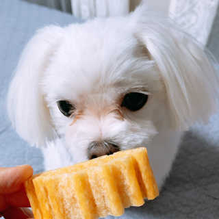 끼끼님이 올린 리뷰 사진 4