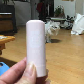 이선희님이 올린 리뷰 사진 3