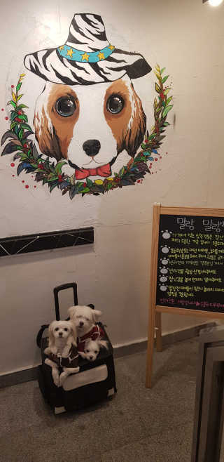 공팔리터님이 올린 리뷰 사진 1
