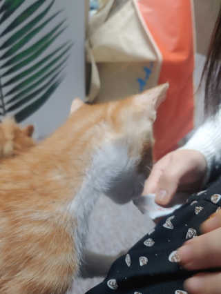 짱아미님이 올린 리뷰 사진 3