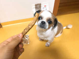 김은지님이 올린 리뷰 사진 1
