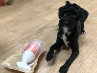 유짱님이 올린 리뷰 사진 3