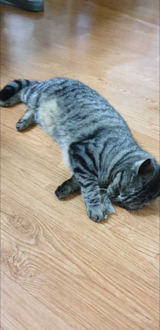 Favorite님이 올린 리뷰 사진 3