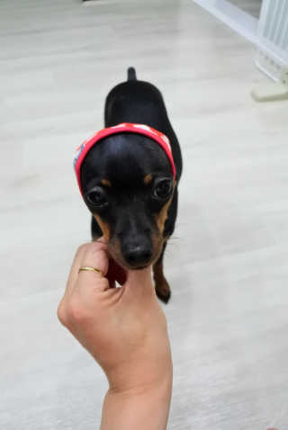 류류님이 올린 리뷰 사진 4