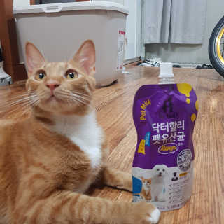 마이님이 올린 리뷰 사진 3