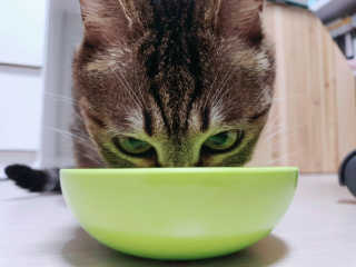 도로농농님이 올린 리뷰 사진 2