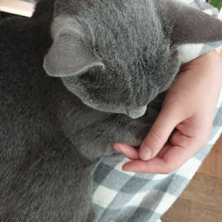 미애님이 올린 리뷰 사진 1