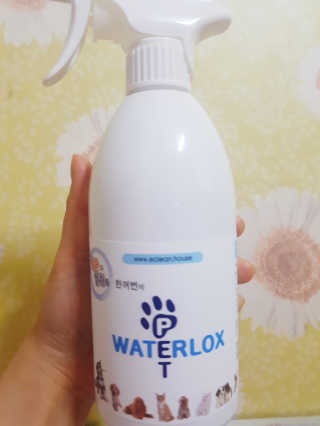 이솔미님이 올린 리뷰 사진 3
