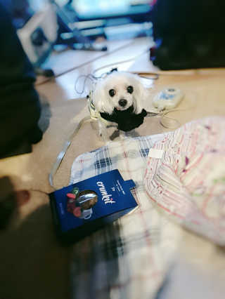 ehlove님이 올린 리뷰 사진 2