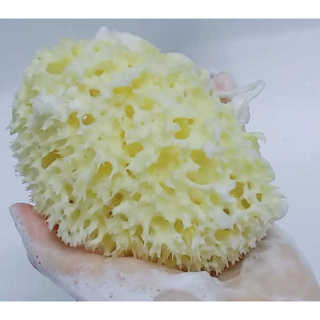 하밍님이 올린 리뷰 사진 1