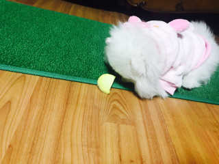 권유리님이 올린 리뷰 사진 1