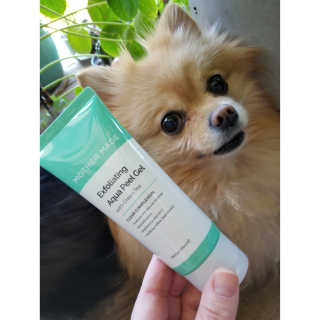 Peepingpomeranian님이 올린 리뷰 사진 1