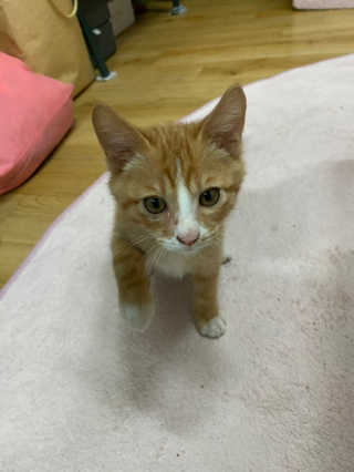라미라미님이 올린 리뷰 사진 1