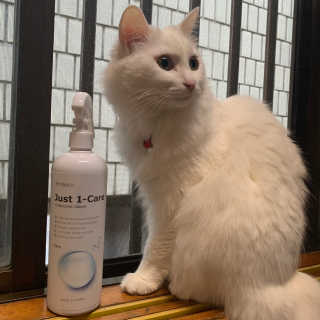 제시님이 올린 리뷰 사진 1