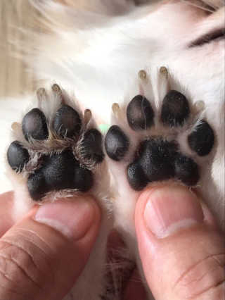 두나님이 올린 리뷰 사진 2
