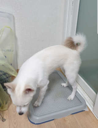 장이빠님이 올린 리뷰 사진 3