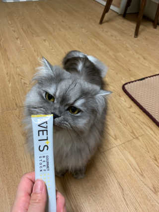 선짱님이 올린 리뷰 사진 2