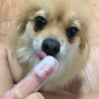 짠기님이 올린 리뷰 사진 2