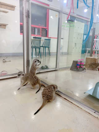 혜봉님이 올린 리뷰 사진 2
