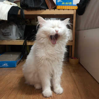 례진님이 올린 리뷰 사진 3