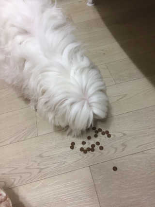 홍지윤님이 올린 리뷰 사진 3