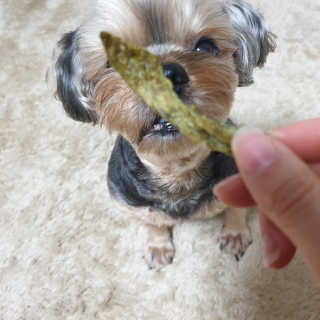 Rooloo님이 올린 리뷰 사진 2