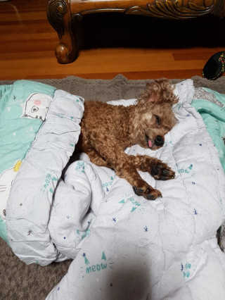 야딩님이 올린 리뷰 사진 1