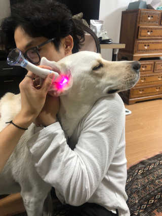 정봐기린님이 올린 리뷰 사진 1