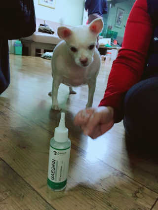 NaraLee님이 올린 리뷰 사진 2