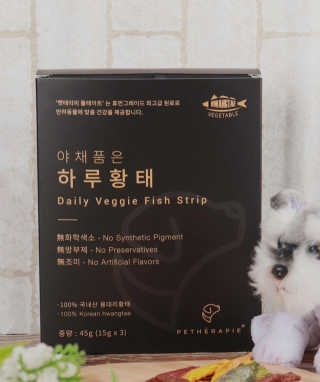 펫테라피 플레이트 야채품은 하루황태 — 5점을 준 리뷰어가 2020년 1월 올린 사용 사진