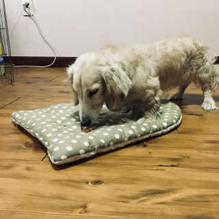 꽈당이님이 올린 리뷰 사진 1