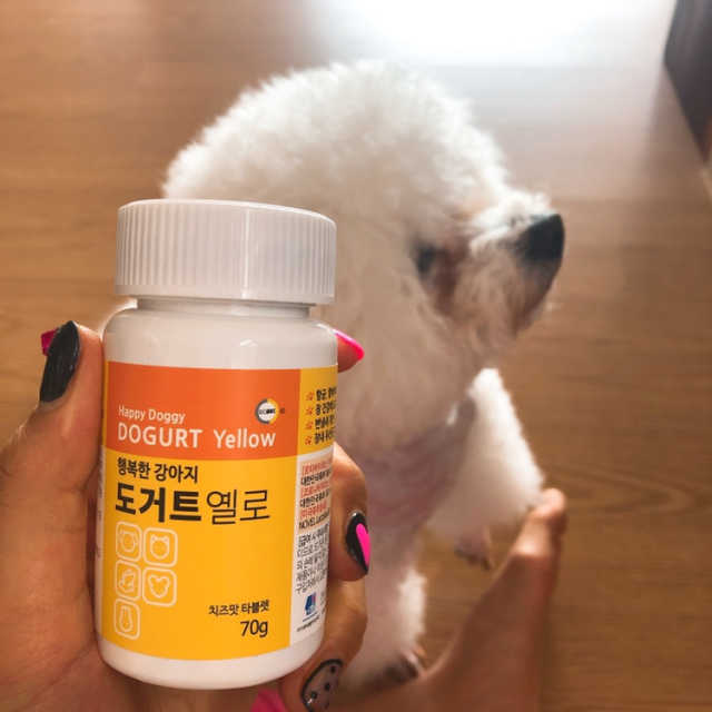 [프로바이오닉] 애완동물 영양제 도거트 리뷰 사진