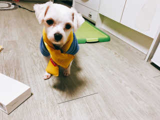 Underwater님이 올린 리뷰 사진 4