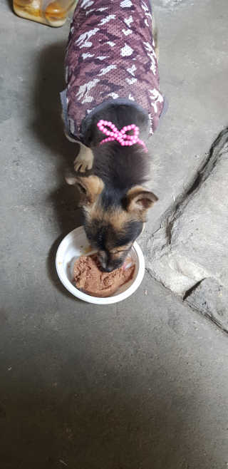 항항항님이 올린 리뷰 사진 3