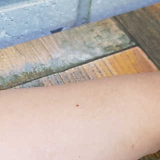 동네부기님이 올린 리뷰 사진 3