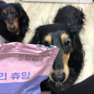 푸디웜 주식회사 [푸디웜] 강아지 저알러지 수제간식 3종세트 — 5점을 준 리뷰어가 2019년 2월 올린 사용 사진