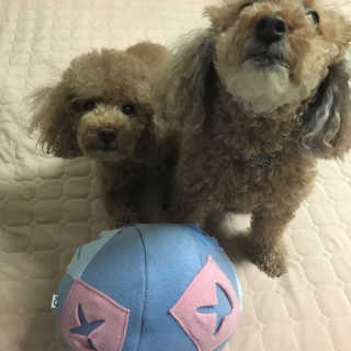 BakVeronica님이 올린 리뷰 사진 1